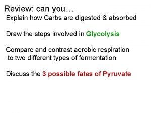 Glycogenolysis cycle