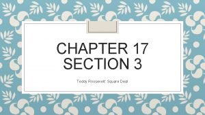 Chapter 17 section 3 teddy roosevelt's square deal