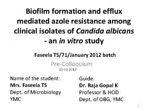 Biofilm formation and efflux mediated azole resistance among