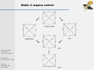 Models of sequence evolution JukesCantor K 2 P