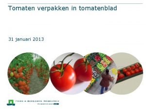 Tomaten verpakken in tomatenblad 31 januari 2013 Van