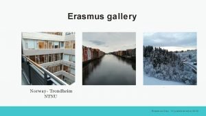 Trondheim university erasmus