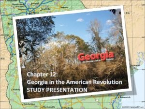 Chapter 12 Georgia in the American Revolution STUDY