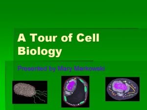 A Tour of Cell Biology Presented by Markowski