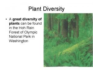 Four main groups of plants