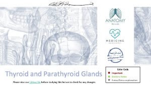 Thyroid and Parathyroid Glands Please view our Editing