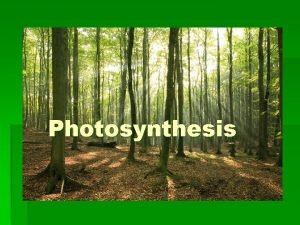 Photosynthesis Energy Life Energy the ability to do