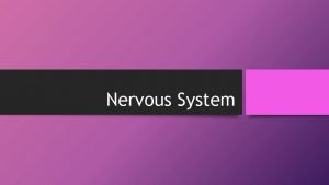 Nervous System Nervous System The organs are responsible