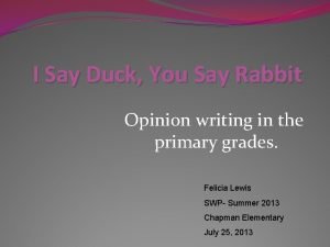 Duck or rabbit writing