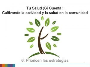 Tu Salud S Cuenta Cultivando la actividad y