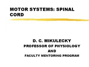 MOTOR SYSTEMS SPINAL CORD D C MIKULECKY PROFESSOR