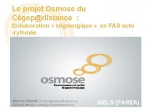 Le projet Osmose du Cgepdistance Collaboration stigmergique en