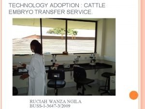 TECHNOLOGY ADOPTION CATTLE EMBRYO TRANSFER SERVICE RUCIAH WANZA