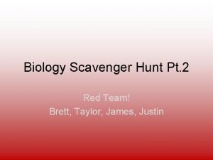 Biology Scavenger Hunt Pt 2 Red Team Brett