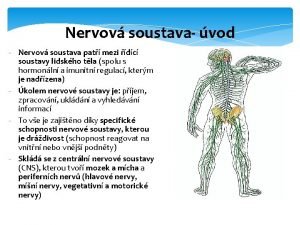 Funkční jednotka nervové soustavy