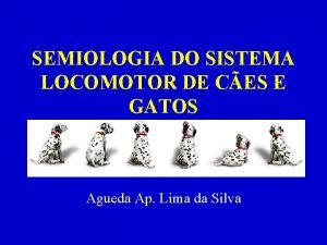Semiologia do sistema locomotor de cães e gatos