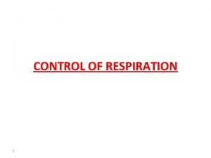 CONTROL OF RESPIRATION 1 Control Of Respiration Respiratory