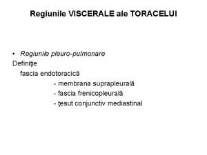 Vascularizatia toracelui