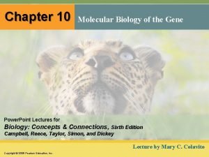 Chapter 10 Molecular Biology of the Gene Power