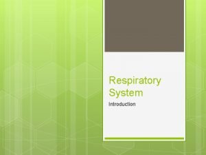Respiratory System Introduction 11 19 12 Respiratory System