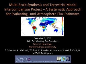 MultiScale Synthesis and Terrestrial Model Intercomparison Project A