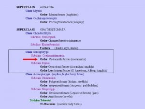 SUPERCLASS AGNATHA Class Myxini Order Myxiniformes hagfishes Class