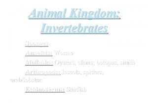 Animal Kingdom Invertebrates Sponges Annelids Worms Mollusks Oysters