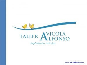 www avicolalfonso com NIDOS PARA PONEDORAS Y REPRODUCTORAS