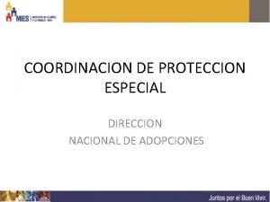 COORDINACION DE PROTECCION ESPECIAL DIRECCION NACIONAL DE ADOPCIONES