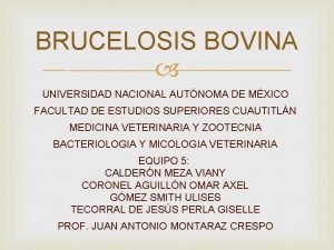 BRUCELOSIS BOVINA UNIVERSIDAD NACIONAL AUTNOMA DE MXICO FACULTAD