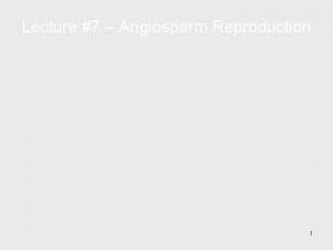 Lecture 7 Angiosperm Reproduction 1 Key Concepts Life