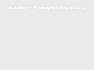 Endosperm structure and function