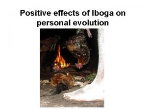 Positive effects of Iboga on personal evolution Introduction