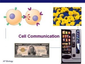 Cell Communication AP Biology The Cellular Internet Biologists