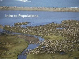 Intro to Populations Populations are single species groups