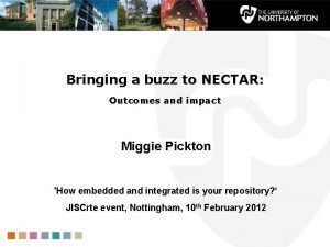 Bringing a buzz to NECTAR Outcomes and impact