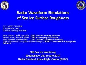 Radar Waveform Simulations of Sea Ice Surface Roughness