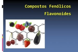 Compostos Fenlicos Flavonoides Compostos Fenlicos Mais de 100