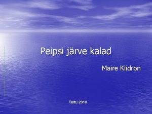 Peipsi järve kalad