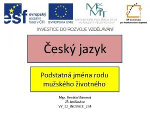 esk jazyk Podstatn jmna rodu muskho ivotnho Mgr