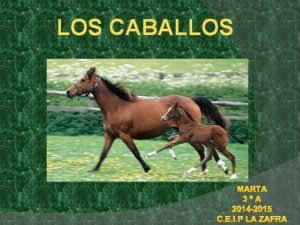 LOS CABALLOS MARTA 3A 2014 2015 C E