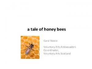 a tale of honey bees Carol Stobie Vo