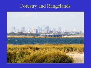 Forestry and Rangelands Modern Conflicts over Forestland Forest