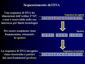 Sequenziamento del DNA Una sequenza di DNA ha