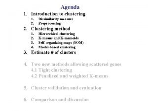 Agenda 1 Introduction to clustering 1 2 Dissimilarity