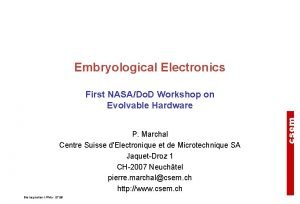 Embryological Electronics P Marchal Centre Suisse dElectronique et