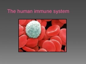 The human immune system What is the immune