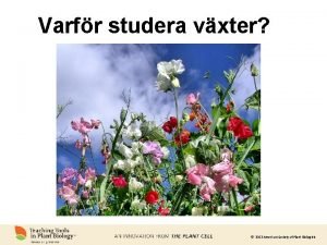 Varfr studera vxter 2013 American Society of Plant