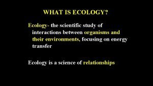WHAT IS ECOLOGY Ecology the scientific study of