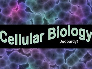 Jeopardy Cellular Biology Cell Communication Cell Energy Cell